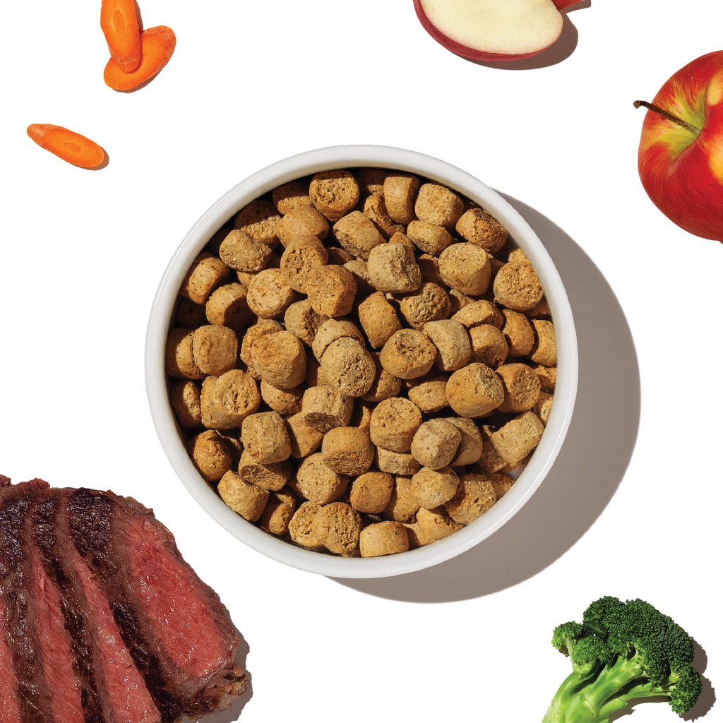 Daily Care Dry Dog Food, Grain included Chicken Whole Food Clusters for daily home and personal routines with pet care treats and accessories