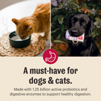 Daily Care Instant Goat s Milk Plus for daily home and personal routines with pet care treats and accessories