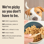Practical Living Dry Dog Food, Whole Grain Beef and Oat Whole Food Clusters for daily home and personal routines with pet care treats and accessories