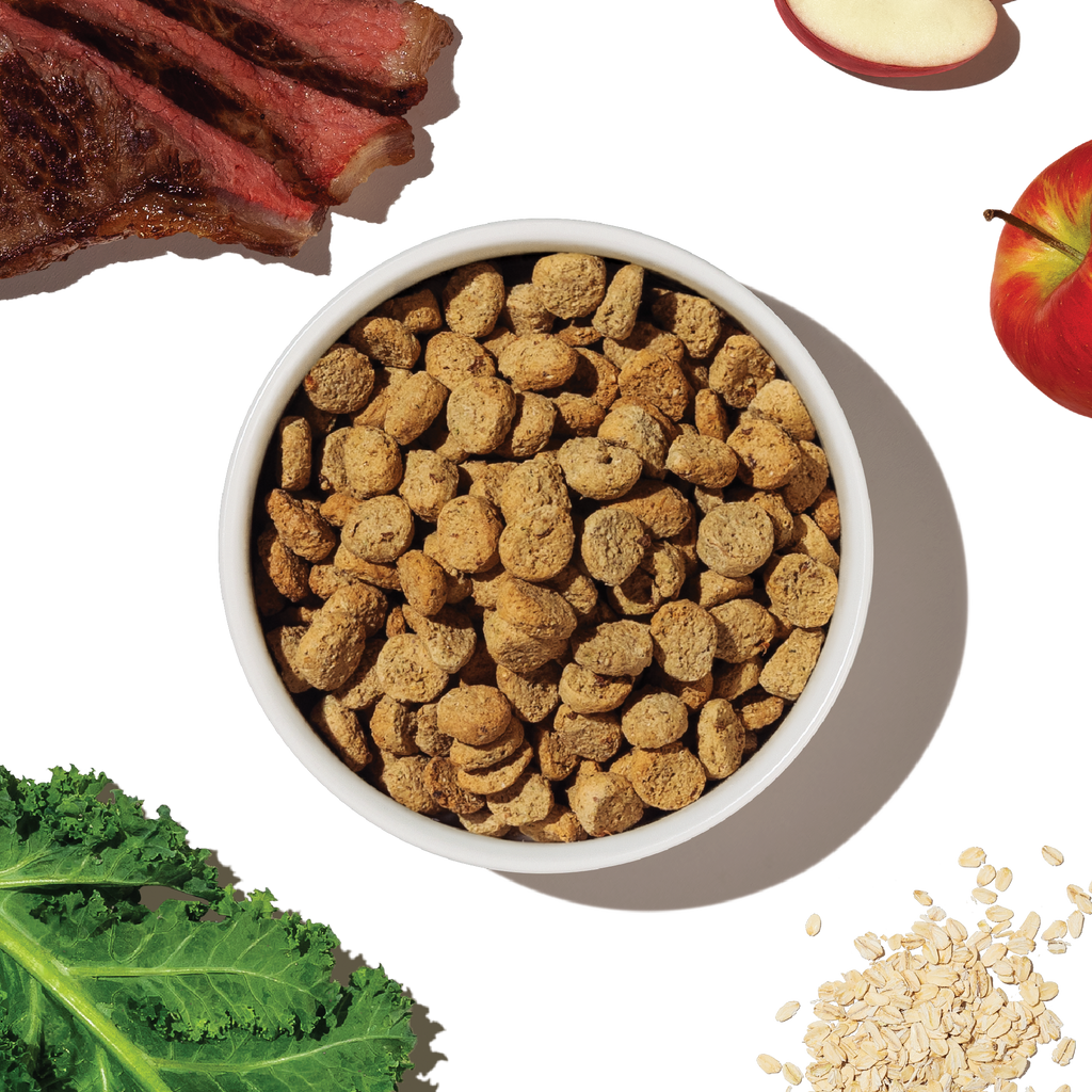Practical Living Dry Dog Food, Whole Grain Beef and Oat Whole Food Clusters for daily home and personal routines with pet care treats and accessories