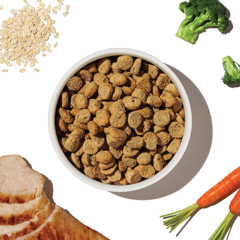 Home Essentials Dry Dog Food, Whole Grain Chicken Whole Food Clusters for daily home and personal routines with pet care treats and accessories