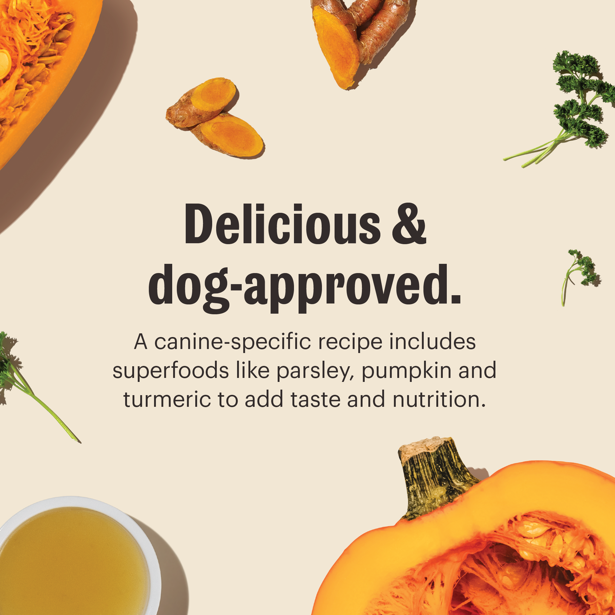 Everyday Home Instant Beef Dog Bone Broth with Turmeric for daily home and personal routines with pet care treats and accessories