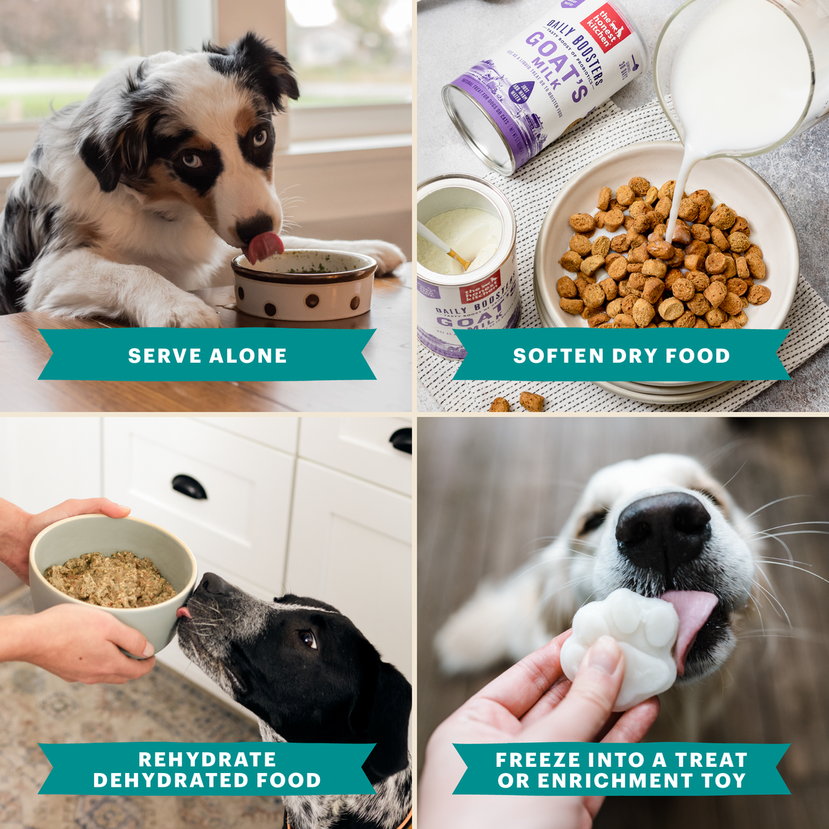 Everyday Home Instant Beef Dog Bone Broth with Turmeric for daily home and personal routines with pet care treats and accessories