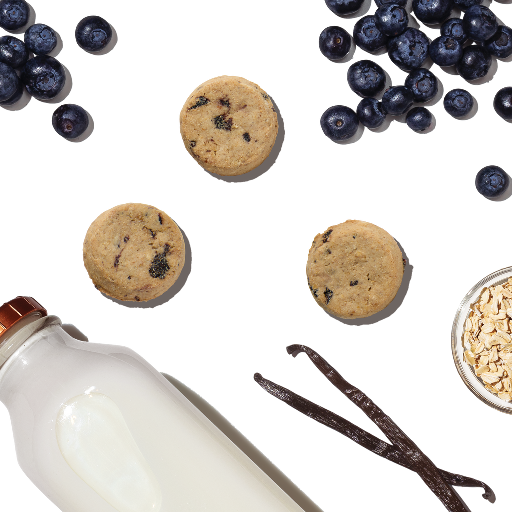 Everyday Home Dog Treat Blueberry and Vanilla Goat s Milk N Cookies for daily home and personal routines with pet care treats and accessories