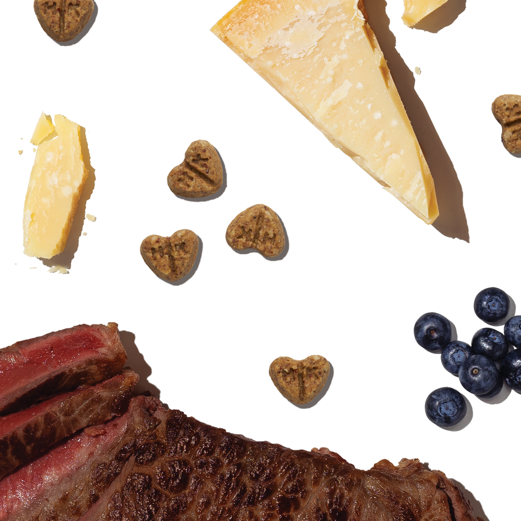 Practical Living Dog Treat Parmesan Pecks, Beef and Blueberry for daily home and personal routines with pet care treats and accessories