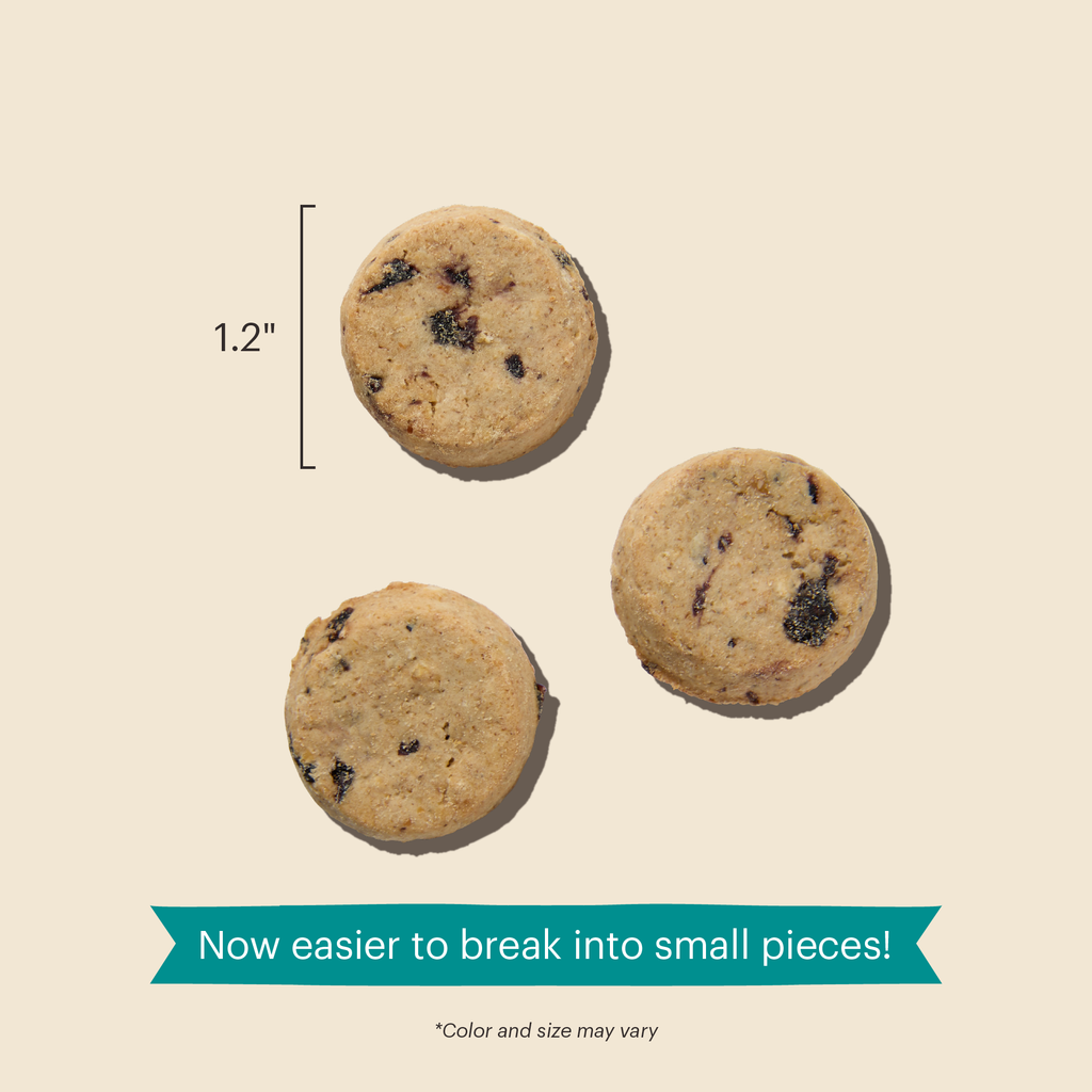 Everyday Home Dog Treat Blueberry and Vanilla Goat s Milk N Cookies for daily home and personal routines with pet care treats and accessories