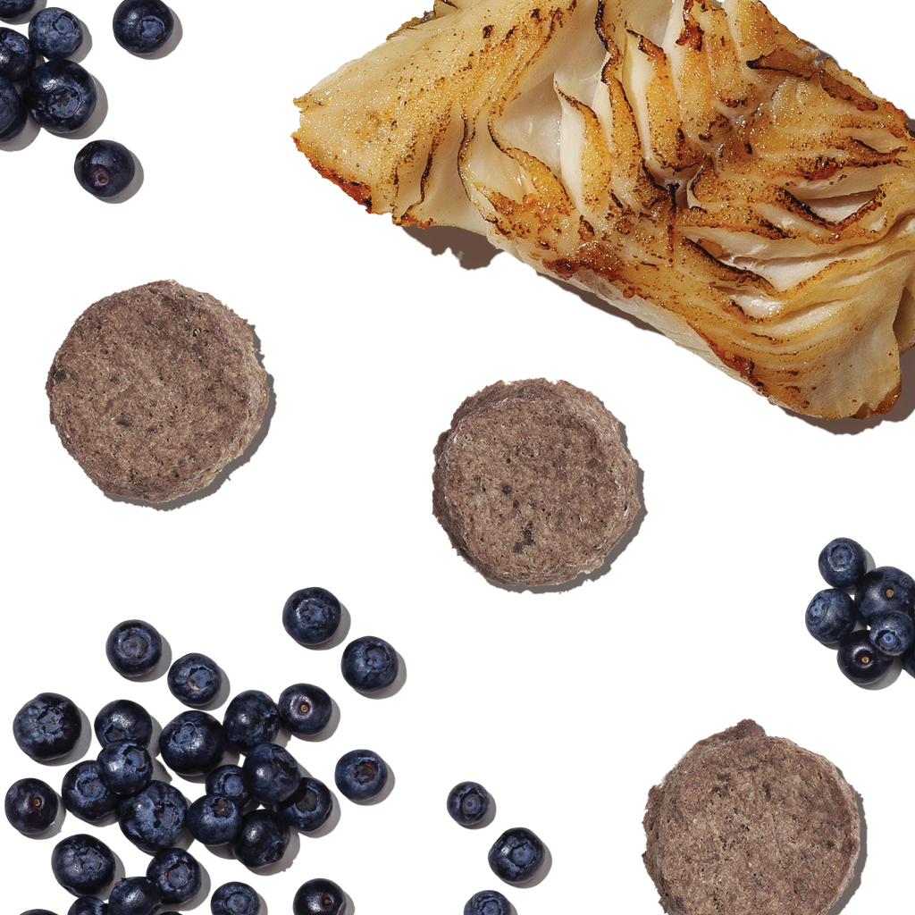 Daily Care Dog Treat Ocean Chews Crispy Cod Fish Skins Beams for daily home and personal routines with pet care treats and accessories