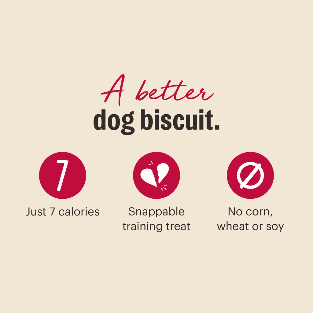 Routine Ready Dog Treat Parmesan Pecks, Duck and Cherry for daily home and personal routines with pet care treats and accessories