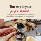 Routine Ready Dog Treat Parmesan Pecks, Duck and Cherry for daily home and personal routines with pet care treats and accessories