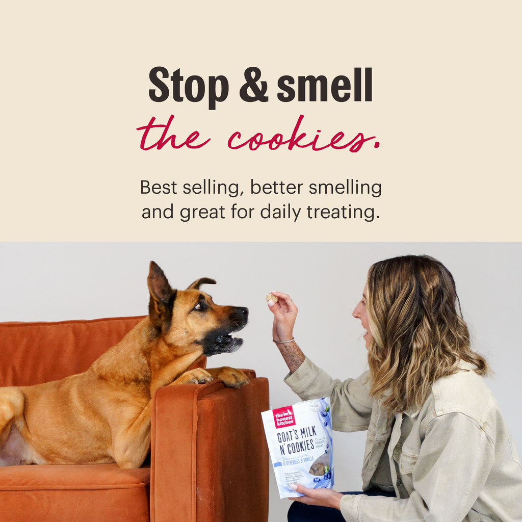 Everyday Home Dog Treat Peanut Butter and Honey Goat s Milk N Cookies for daily home and personal routines with pet care treats and accessories