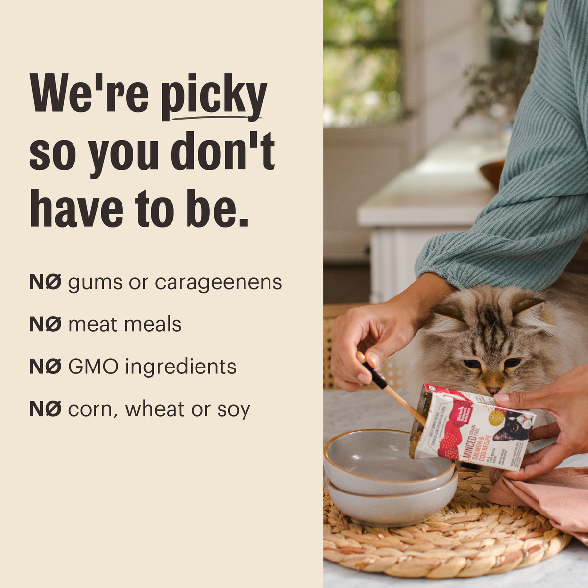 Home Essentials Câté Wet Cat Food - Grain included Câté Pâté , Variety Pack for daily home and personal routines with pet care treats and accessories