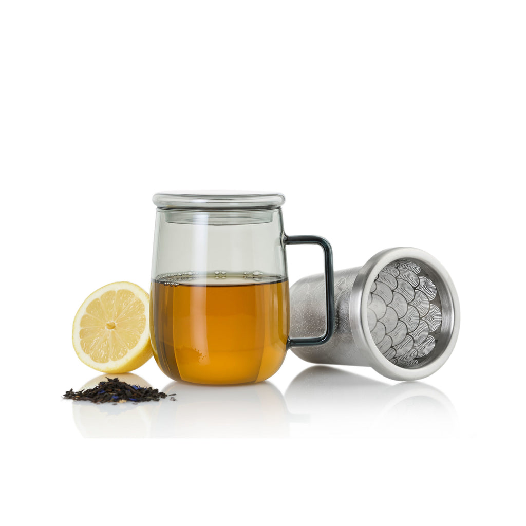 Routine Ready Borosilicate Glass Tea Mug with Stainless Steel Tea Infuser for daily home and personal routines with pet care treats and accessories