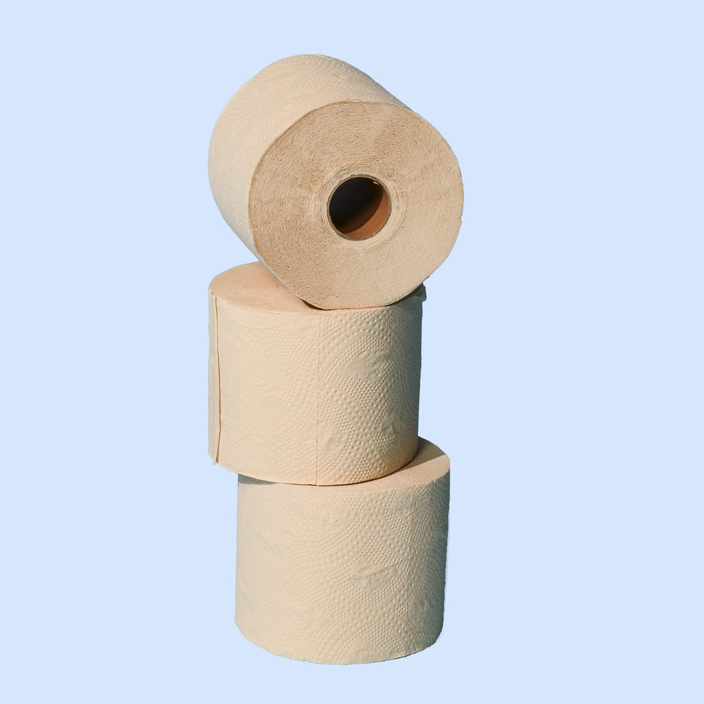 Practical Living Bamboo Toilet Paper for daily home and personal routines with cleaning laundry and paper products