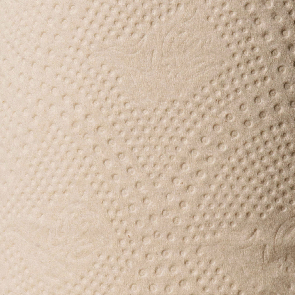 Practical Living Bamboo Toilet Paper for daily home and personal routines with cleaning laundry and paper products