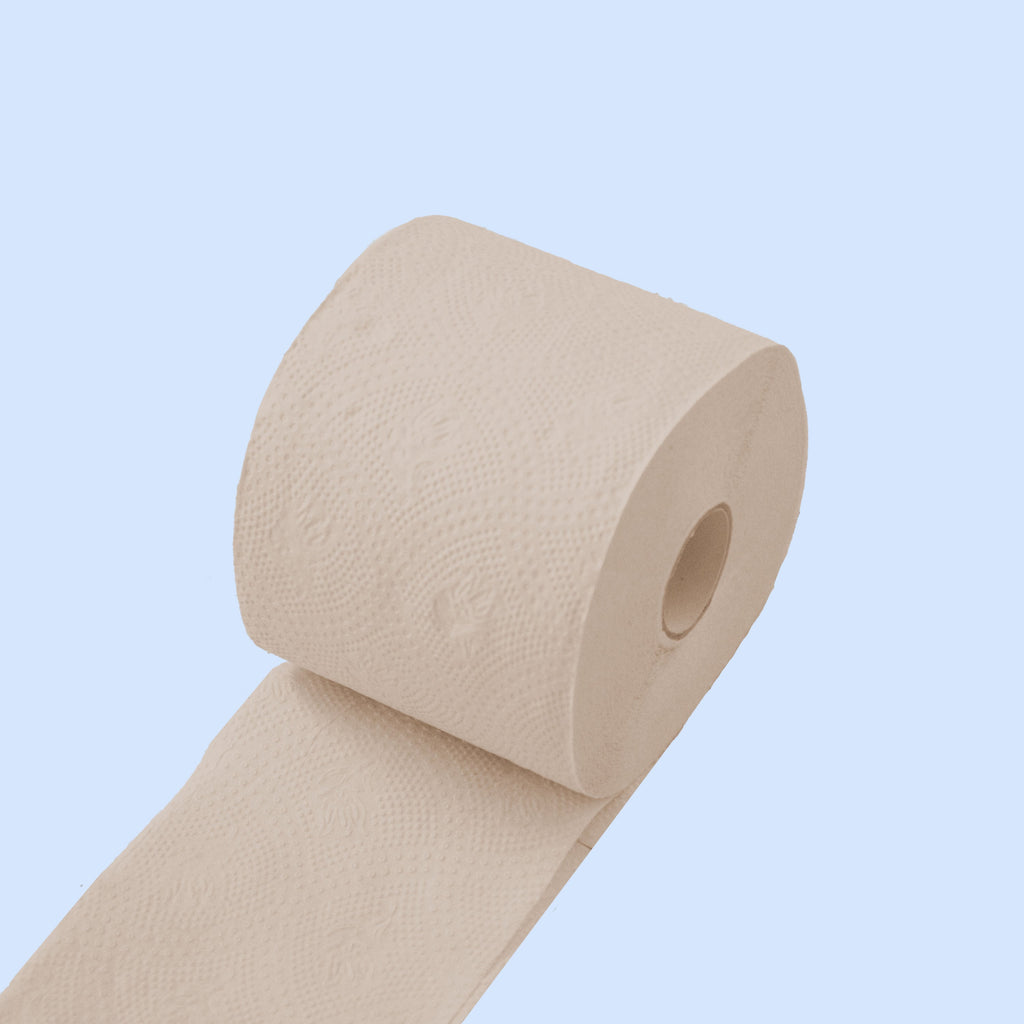 Practical Living Bamboo Toilet Paper for daily home and personal routines with cleaning laundry and paper products