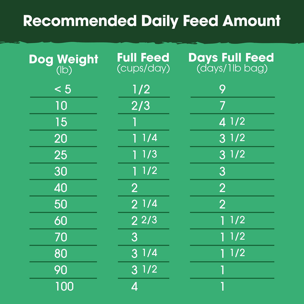 Everyday Home Beef and Bone Broth Recipe, Food, Topper, and Mixer for Dogs for daily home and personal routines with pet care treats and accessories