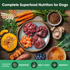 Everyday Home Beef and Bone Broth Recipe, Food, Topper, and Mixer for Dogs for daily home and personal routines with pet care treats and accessories