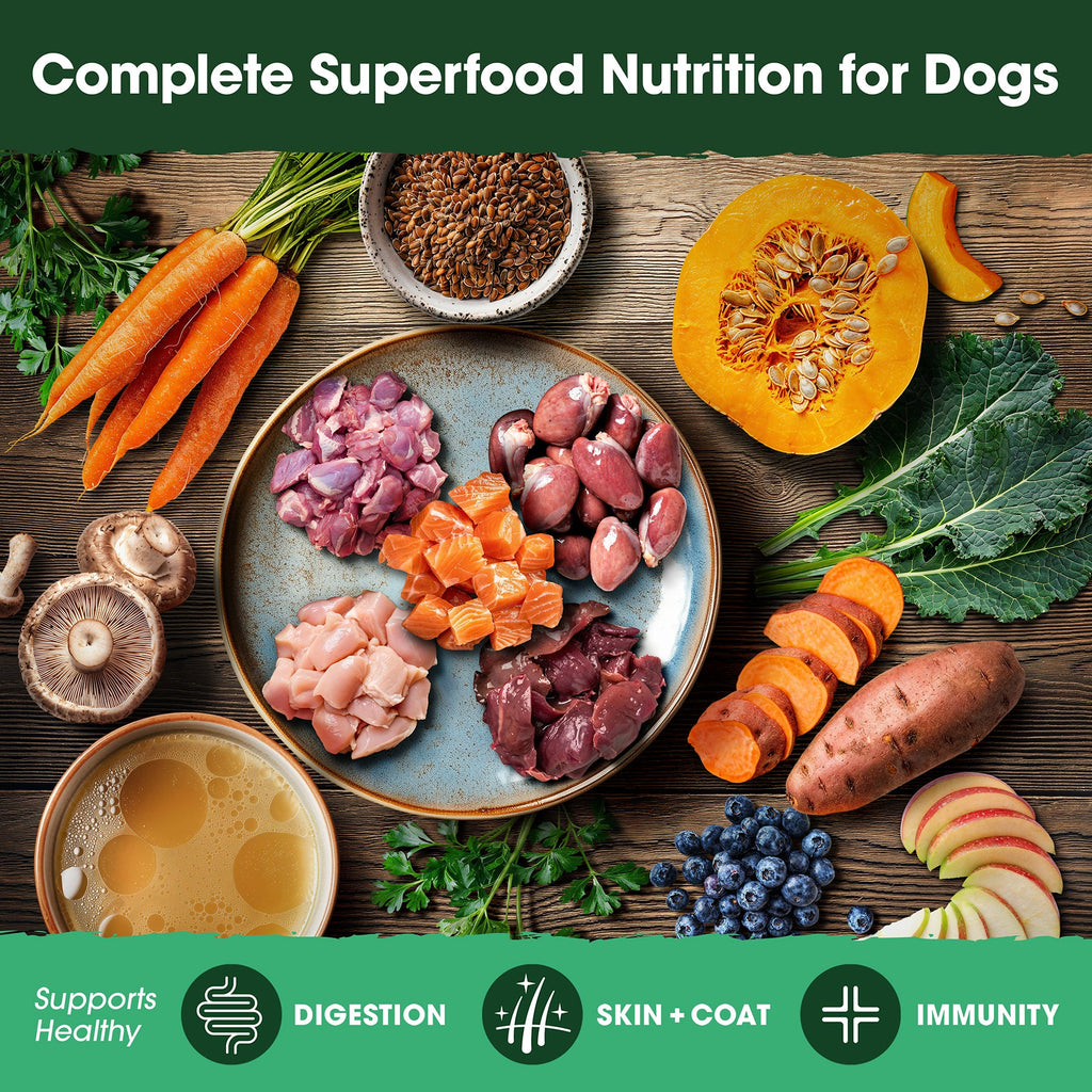 Home Essentials Chicken and Bone Broth Recipe, Food, Topper, and Mixer for Dogs for daily home and personal routines with pet care treats and accessories