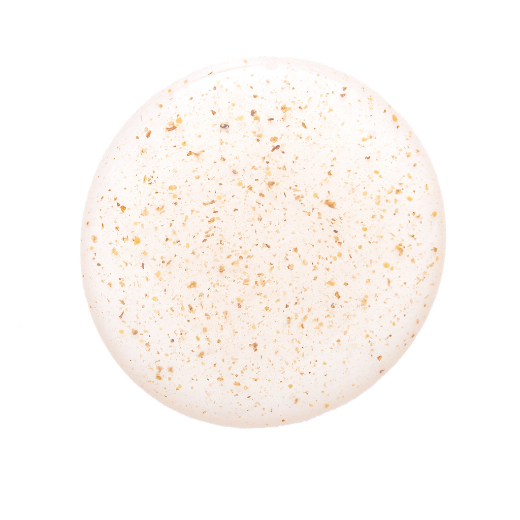 Everyday Home Gentle Exfoliating Face Wash and Cleanser with Salicylic Acid and Natural Micro-Exfoliators for Revitalized Skin for daily home and personal routines with facial skin and sun care