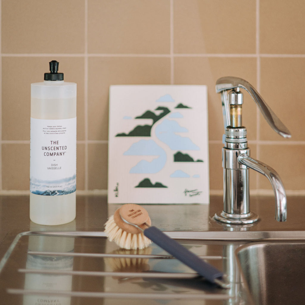 Everyday Home Dish Soap for daily home and personal routines with cleaning laundry and paper products
