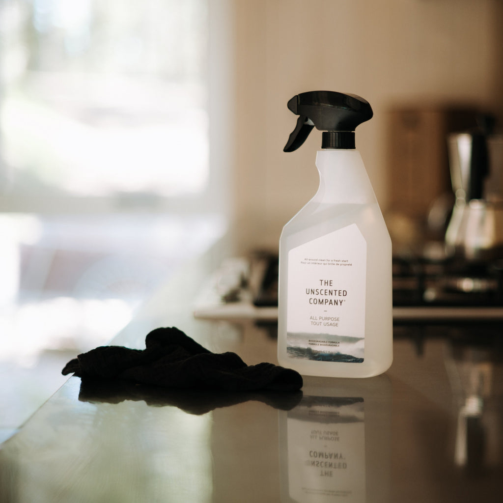 Routine Ready All Purpose Cleaner for daily home and personal routines with cleaning laundry and paper products
