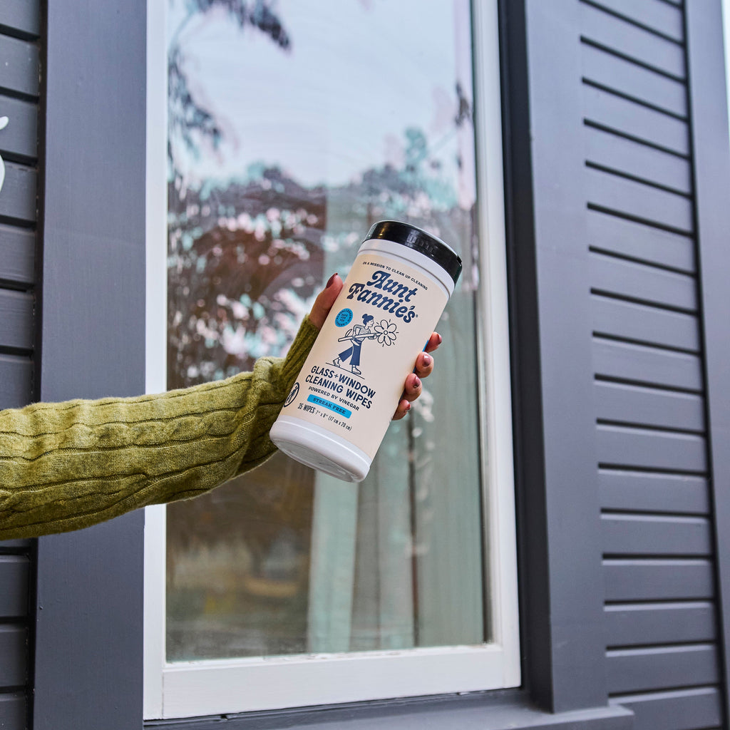 Home Essentials Glass + Window Cleaning Wipes for daily home and personal routines with cleaning laundry and paper products