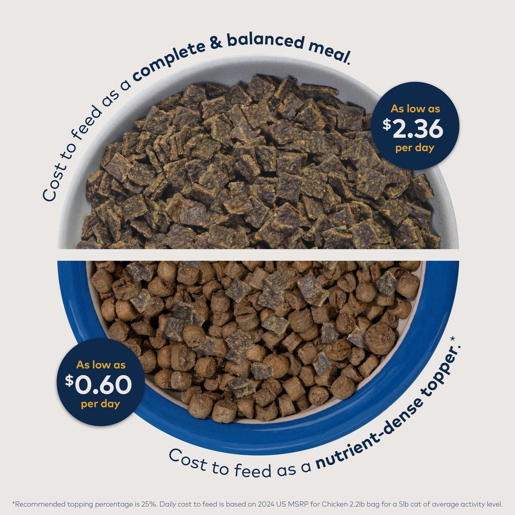 Everyday Home Air-Dried Cat Food - All Natural, High Protein, Grain included, Limited Ingredient for daily home and personal routines with pet care treats and accessories