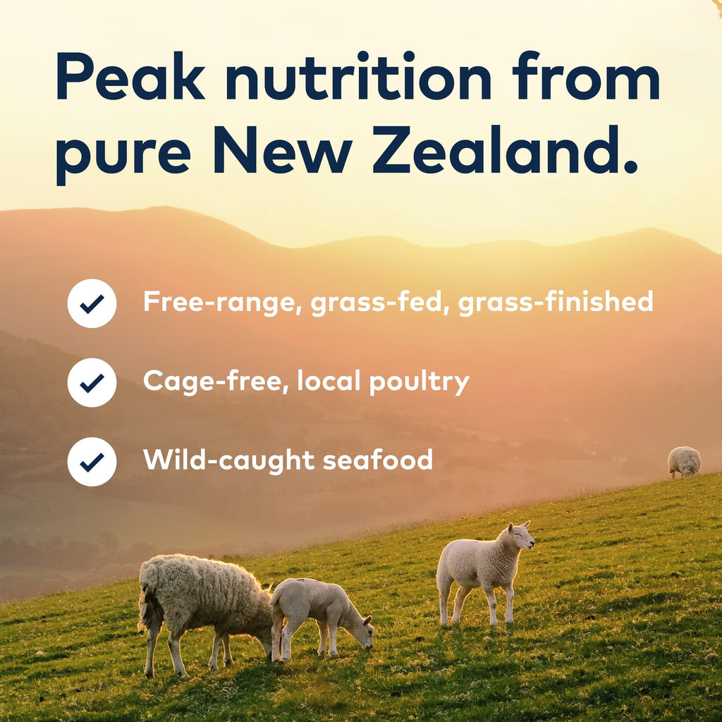 Everyday Home Air-Dried Dog Food - Lamb All Natural, High Protein, Grain included, Limited Ingredient for daily home and personal routines with pet care treats and accessories