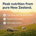 Everyday Home Air-Dried Dog Food - Lamb All Natural, High Protein, Grain included, Limited Ingredient for daily home and personal routines with pet care treats and accessories
