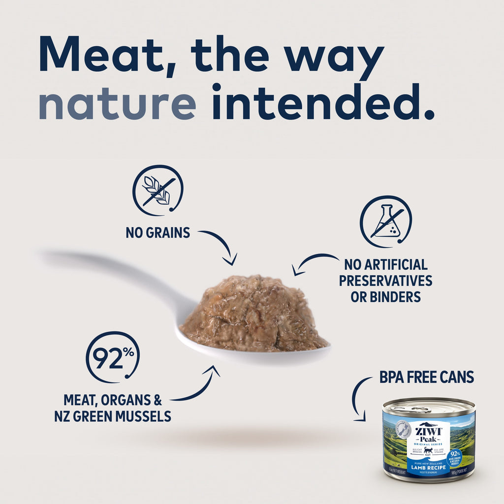 Routine Ready Canned Wet Cat Food - Lamb All Natural, High Protein, Grain included, Limited Ingredient for daily home and personal routines with pet care treats and accessories