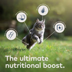 Everyday Home Canned Wet Cat Food - Mackerel and Lamb All Natural, High Protein, Grain included, Limited Ingredient for daily home and personal routines with pet care treats and accessories
