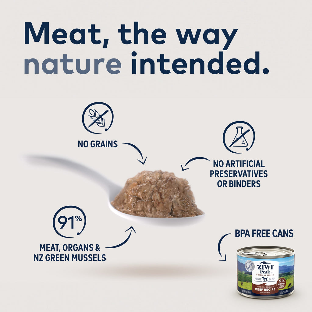 Everyday Home Canned Wet Dog Food All Natural, High Protein, Grain included, Limited Ingredient for daily home and personal routines with pet care treats and accessories