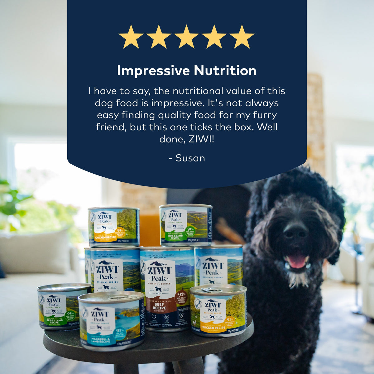 Practical Living Canned Wet Dog Food All Natural, High Protein, Grain included, Limited Ingredient for daily home and personal routines with pet care treats and accessories