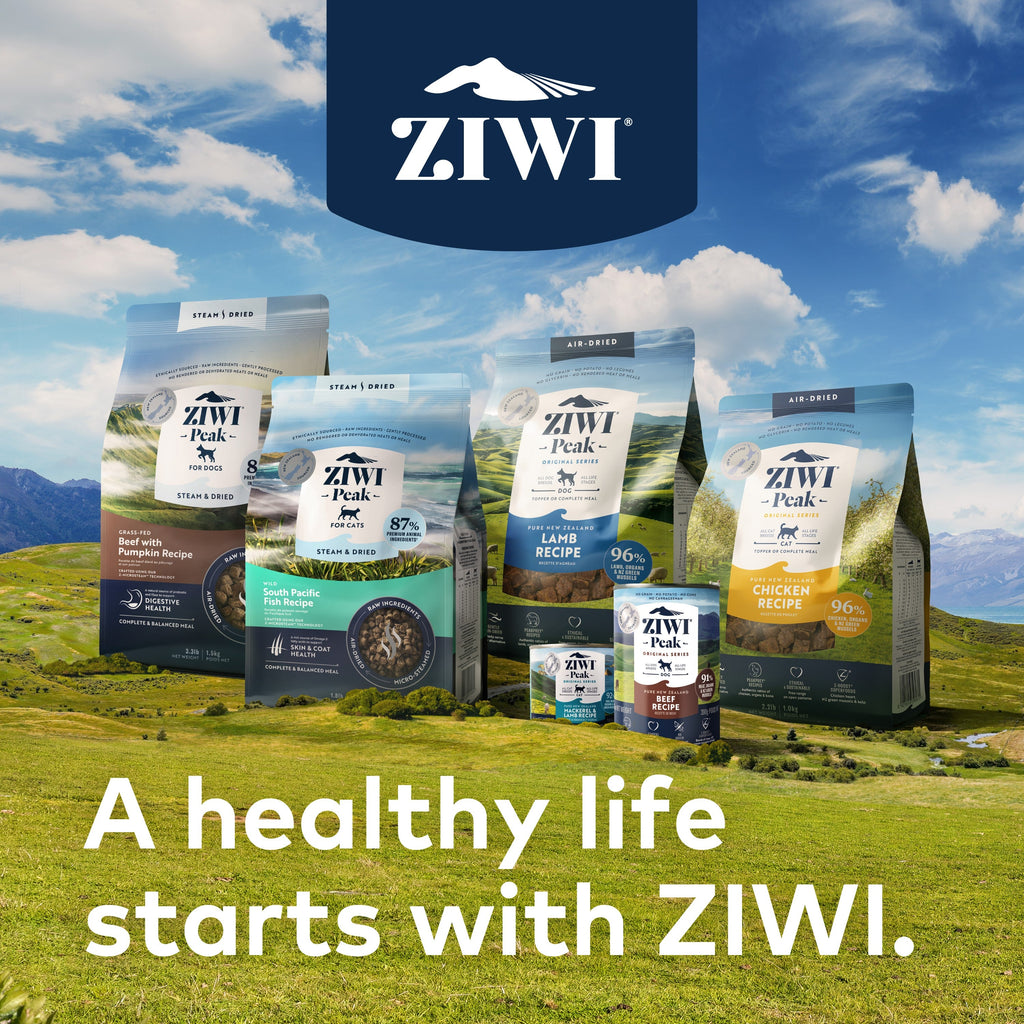 Practical Living Canned Wet Dog Food All Natural, High Protein, Grain included, Limited Ingredient for daily home and personal routines with pet care treats and accessories