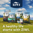 Practical Living Canned Wet Dog Food All Natural, High Protein, Grain included, Limited Ingredient for daily home and personal routines with pet care treats and accessories