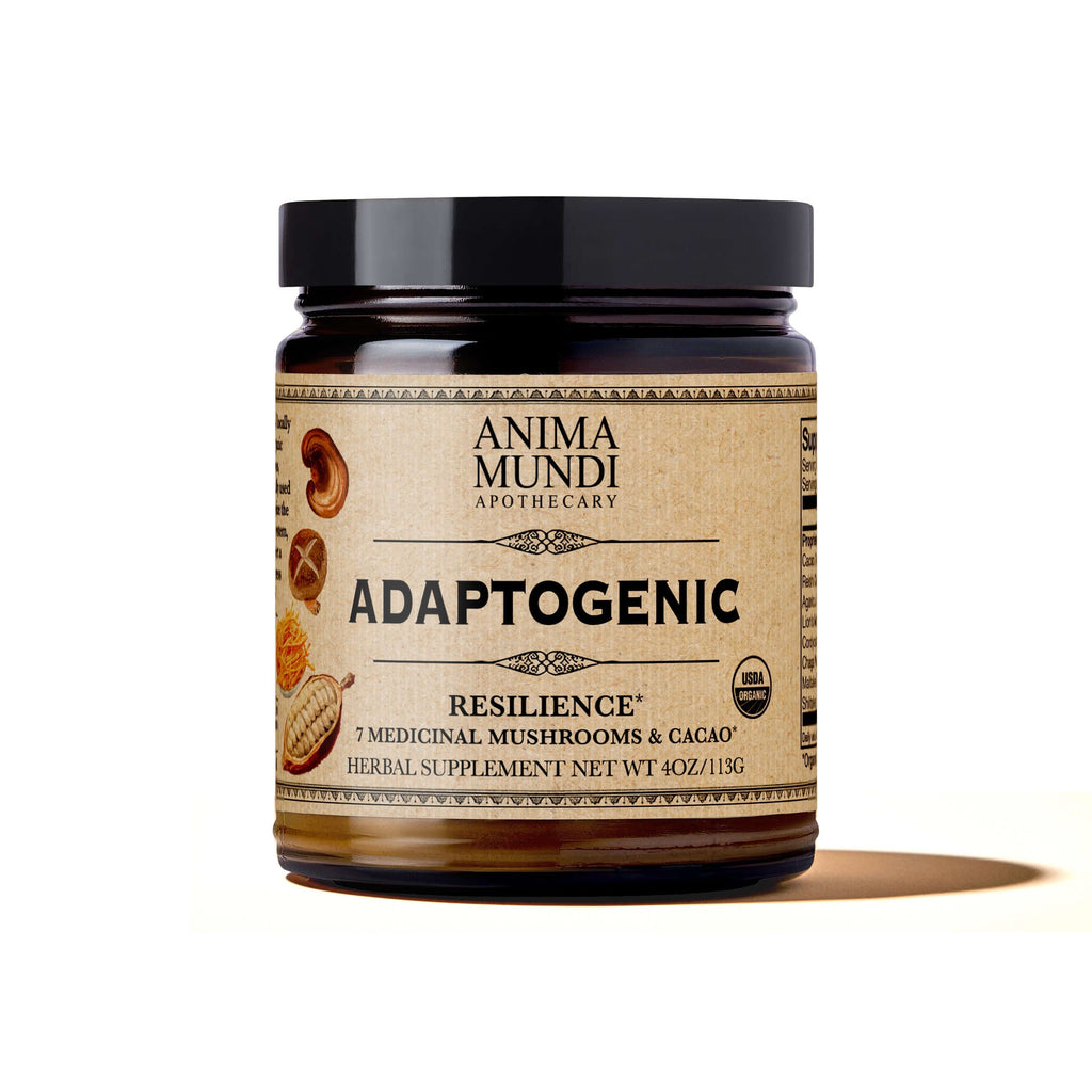 ADAPTOGENIC Powder, 7 Medicinal Mushrooms + Cacao