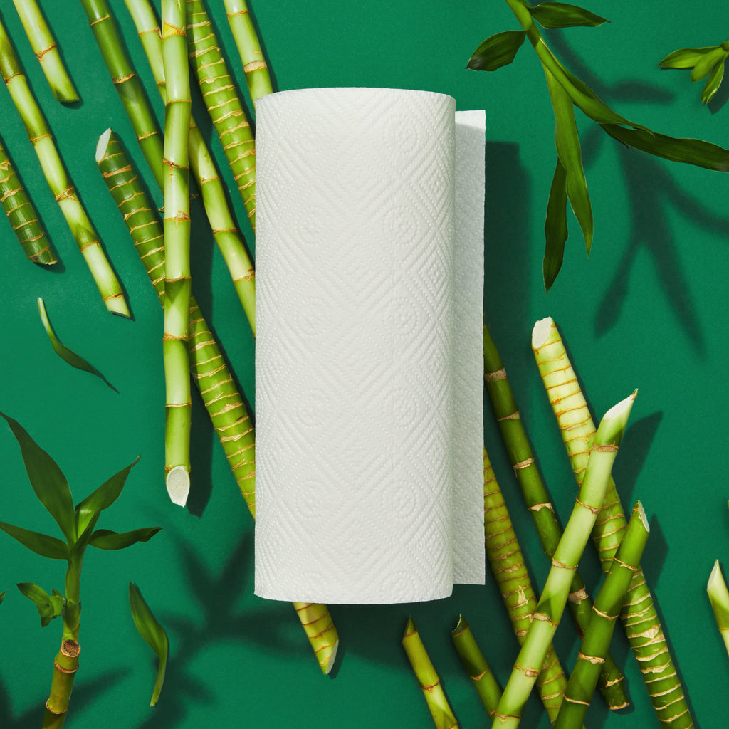 Routine Ready 2-Ply Bamboo Paper Towels 140 sheets per roll for daily home and personal routines with cleaning laundry and paper products