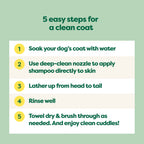 Routine Ready 3-in-1 Curly Coat Dog Shampoo for daily home and personal routines with hair care