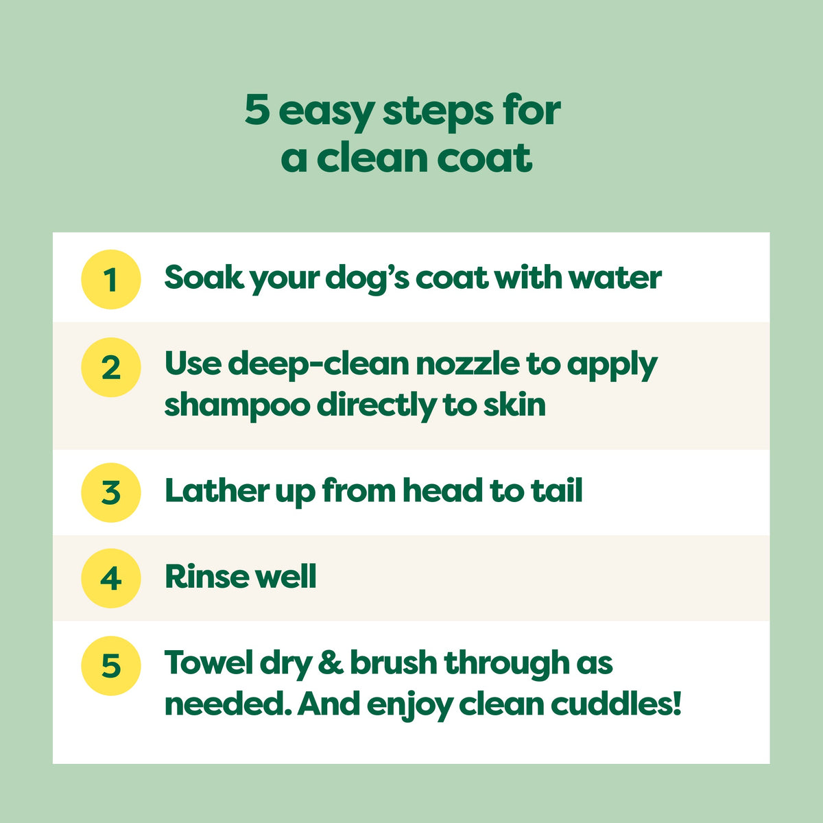 Routine Ready 3-in-1 Curly Coat Dog Shampoo for daily home and personal routines with hair care
