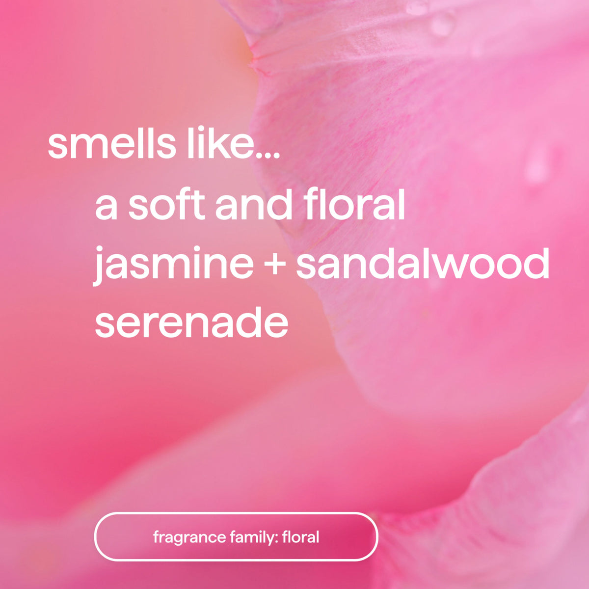 Daily Care Foaming Body Wash for daily home and personal routines with bath body and hygiene