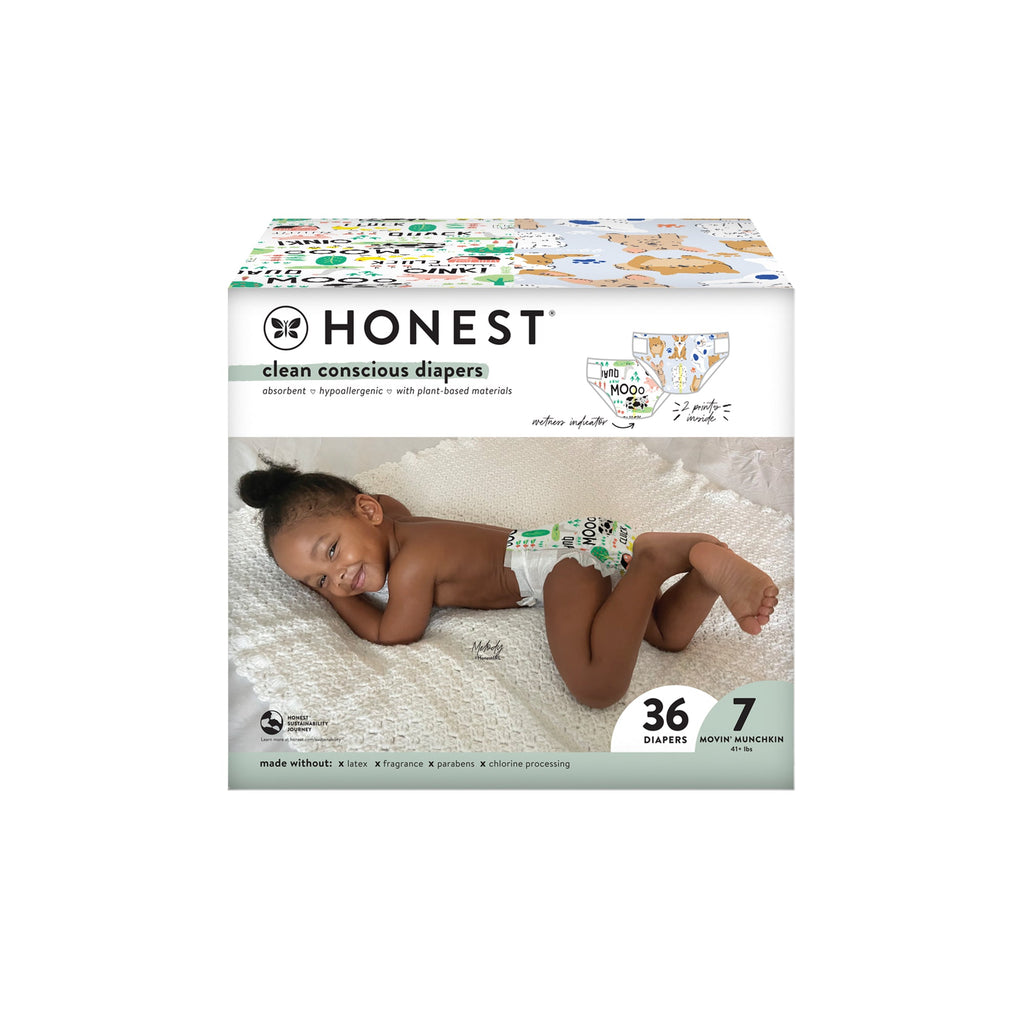 Practical Living Clean Conscious Disposable Diapers Box for daily home and personal routines with baby care and kids products