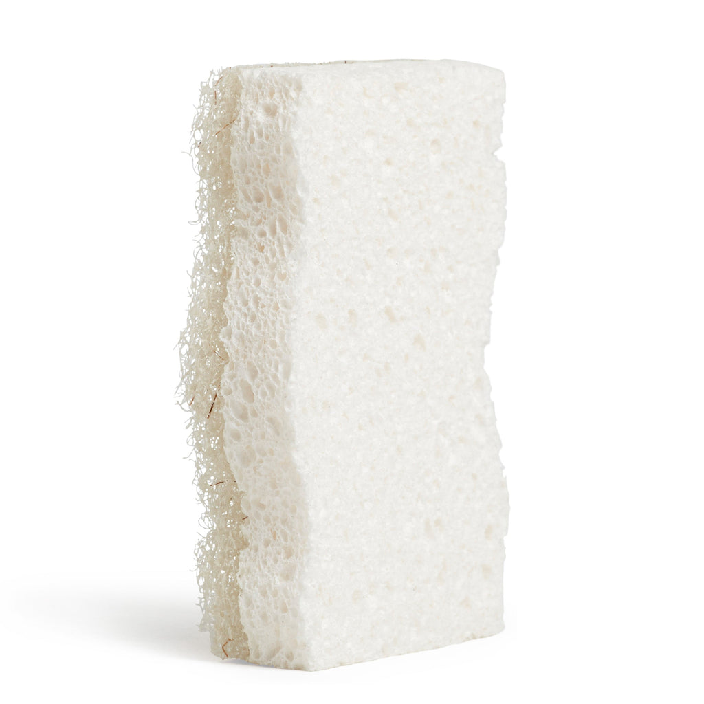 Practical Living All-Purpose Coconut Scrubber Sponges for daily home and personal routines with cleaning laundry and paper products