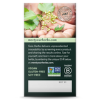 Practical Living Everyday Immune - Mushrooms and Herbs for daily home and personal routines with general everyday essentials