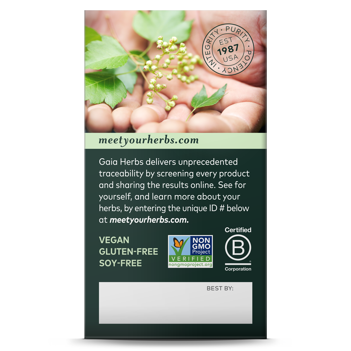 Practical Living Everyday Immune - Mushrooms and Herbs for daily home and personal routines with general everyday essentials