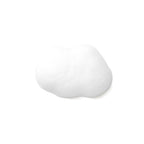 Daily Care Balancing Tea Tree Face Wash for Oily Skin for daily home and personal routines with facial skin and sun care