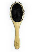 Daily Care Detangling Hair Brush for daily home and personal routines with hair care