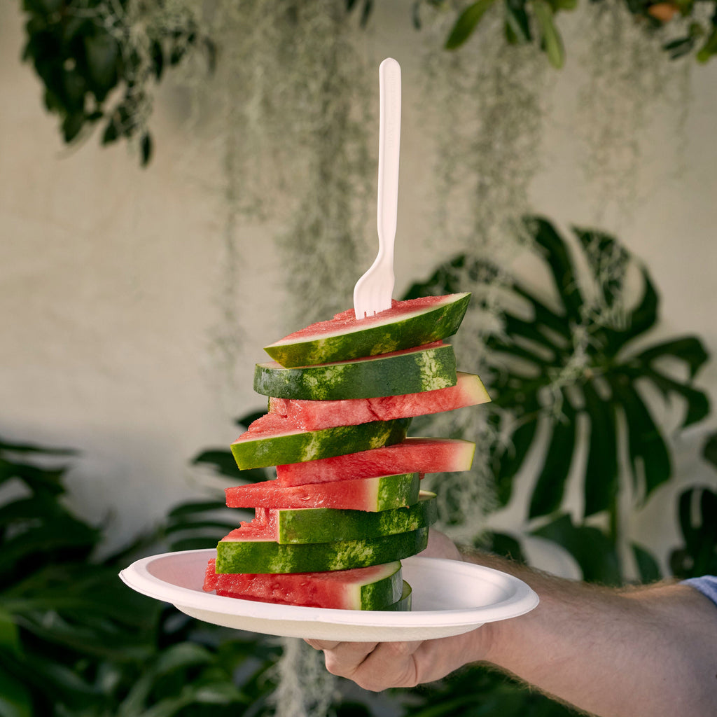 Daily Care Compostable Forks for daily home and personal routines with general everyday essentials