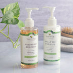 Routine Ready Clarifying Shampoo for Oily Hair and Sensitive Scalp for daily home and personal routines with hair care