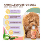 Daily Care Itchy Dog Shampoo for daily home and personal routines with hair care