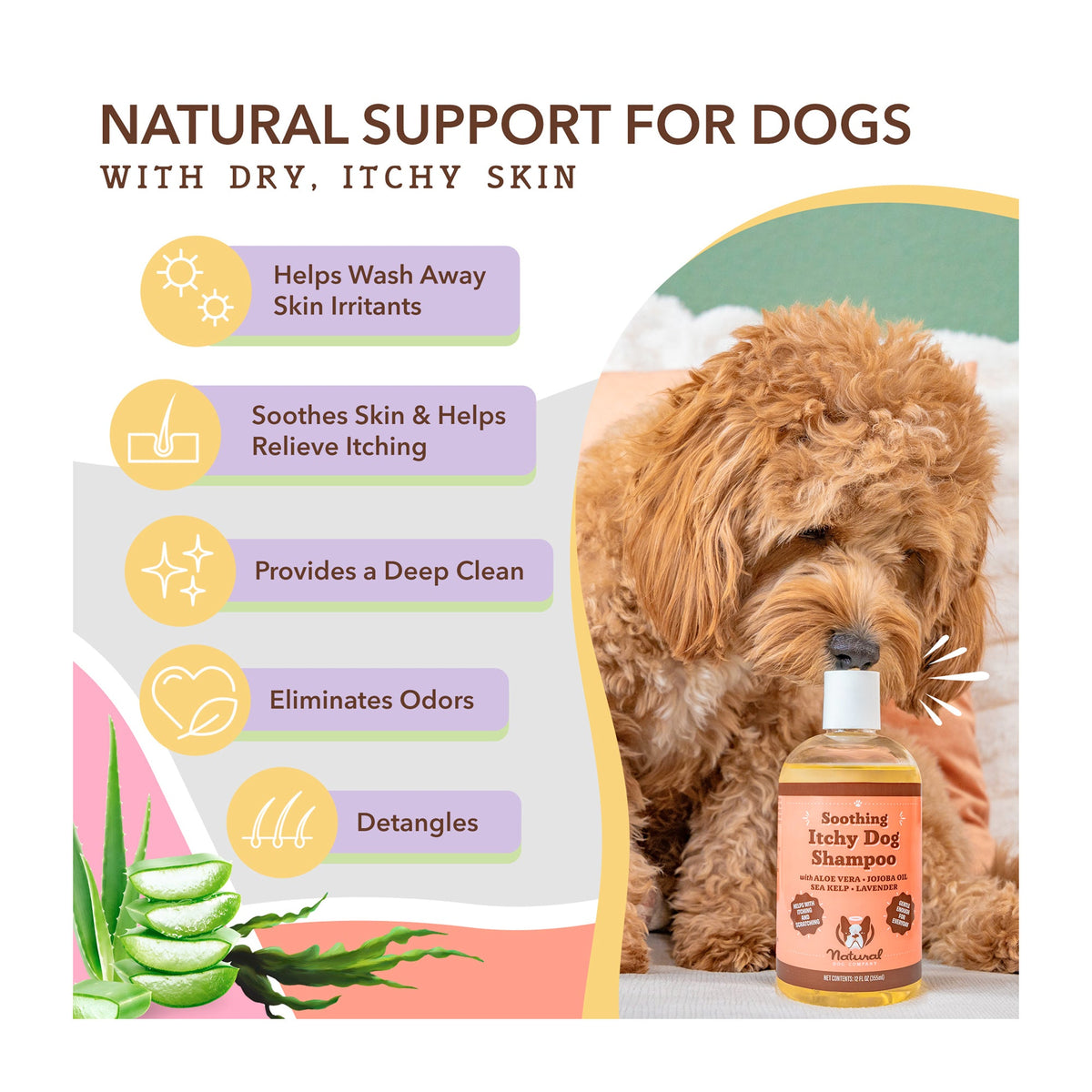 Daily Care Itchy Dog Shampoo for daily home and personal routines with hair care